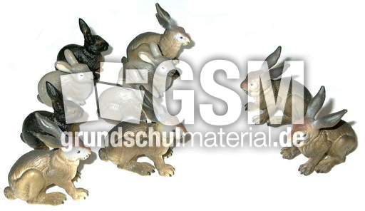 Hasen8+2.jpg